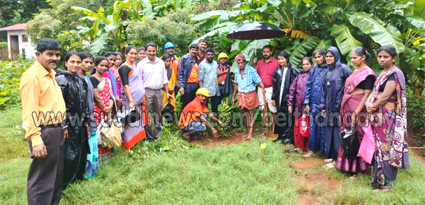 ಉಜಿರೆ ಜನಾರ್ಧನ ಶಾಲೆಯಲ್ಲಿ ಪರಿಸರ ಕಾರ್ಯಕ್ರಮ, ಹಣ್ಣಿನ ಗಿಡ ನಾಟಿ