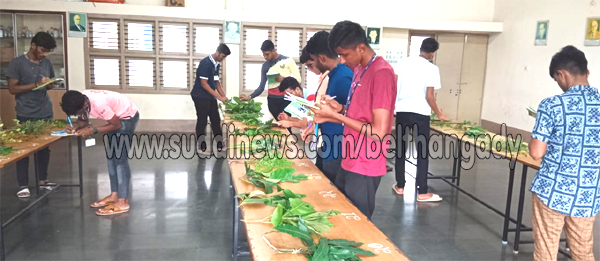 ಉಜಿರೆ ಎಸ್.ಡಿ.ಎಂ ಪದವಿ ಪೂರ್ವ ವಸತಿ ಕಾಲೇಜಿನಲ್ಲಿ ವಿಭಿನ್ನ ಜಾತಿಯ ಸಸ್ಯಗಳ ಗುರುತಿಸುವಿಕೆ ಹಾಗೂ ಮಾಹಿತಿ ಕಾರ್ಯಕ್ರಮ