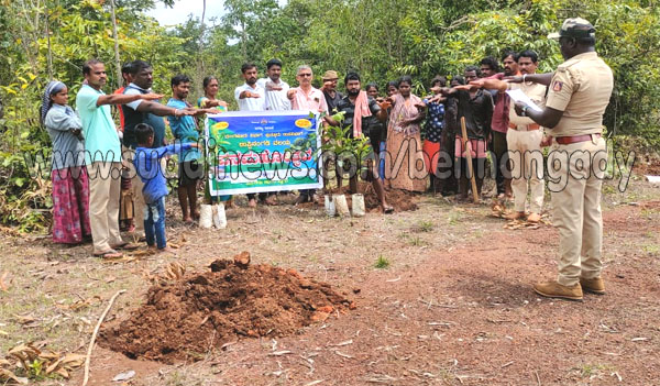 ಕೊಕ್ಕಡ: ವನಮಹೋತ್ಸವ ಕಾರ್ಯಕ್ರಮ