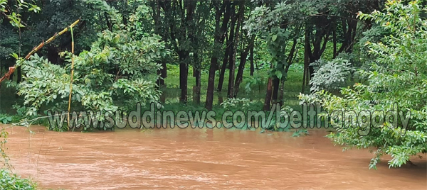 ಕಾಯರ್ತಡ್ಕ ಮೈರಾರು ಸೇತುವೆ ಬಳಿ ರಬ್ಬರ್ ತೋಟಗಳಿಗೆ ನುಗ್ಗಿದ ಮಳೆ ನೀರು