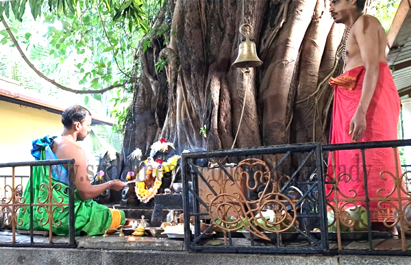 ಬಳ್ಳಮಂಜದಲ್ಲಿ ನಾಗರ ಪಂಚಮಿ ವಿಶೇಷ ಪೂಜೆ