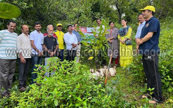 ಅರಣ್ಯದಲ್ಲಿ ಹಣ್ಣಿನ ಗಿಡಗಳ ನಾಟಿ ಕಾರ್ಯಕ್ರಮ- ಲಯನ್ಸ್ ಕ್ಲಬ್ ಸುವರ್ಣ ಮಹೋತ್ಸವ ಯೋಜನೆ