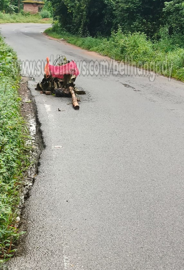 ಬೆಂಗಳೂರು-ಧರ್ಮಸ್ಥಳ ರಾಜ್ಯ ಹೆದ್ದಾರಿಯಲ್ಲಿ ಬೃಹತ್ ಆಕಾರದ ಗುಂಡಿ