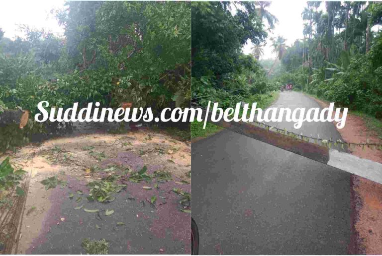 ಪಟ್ರಮೆ: ರಾಜ್ಯ ಹೆದ್ದಾರಿಗೆ ಬಿದ್ದ ಬೃಹತ್ ಗಾತ್ರದ ಮರ: ರಸ್ತೆ ಸಂಚಾರದಲ್ಲಿ ವ್ಯತ್ಯಯ