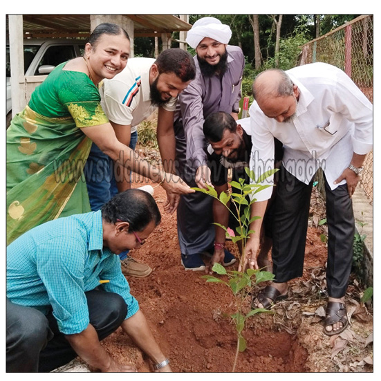 ಮಂಜೊಟ್ಟಿ: ಸ್ಟಾರ್ ಲೈನ್ ಆಂಗ್ಲ ಮಾಧ್ಯಮ ಶಾಲೆಯಲ್ಲಿ ವಿಶ್ವ ಪರಿಸರ ದಿನಾಚರಣೆ