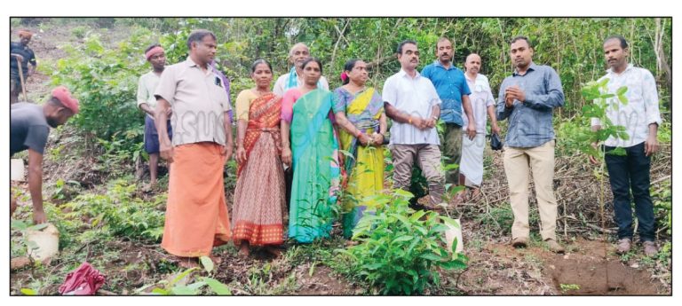 ಶಿಬರಾಜೆ: ಅರಣ್ಯ ಇಲಾಖೆ ವತಿಯಿಂದ ವಿವಿಧ ಹಣ್ಣಿನ ಗಿಡ ನಾಟಿ ಕಾರ್ಯಕ್ರಮ