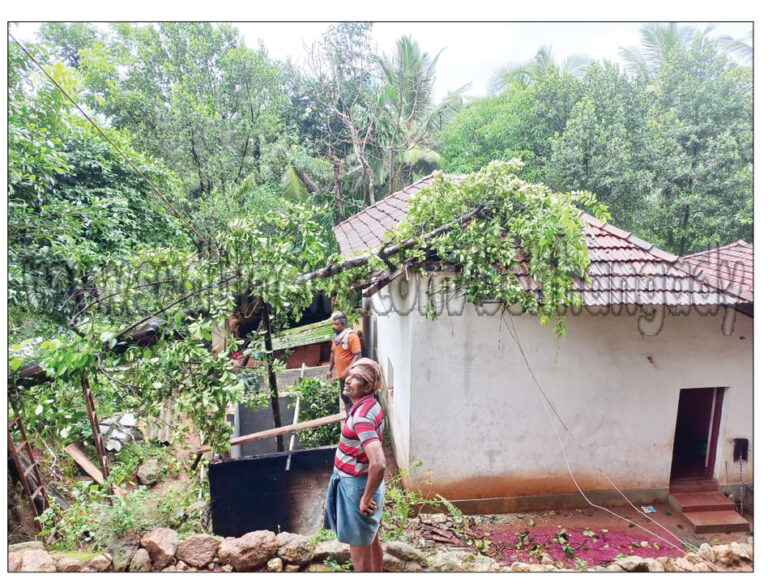 ಸುಲ್ಕೇರಿಮೊಗ್ರು: ಮನೆಗೆ ಮರ ಬಿದ್ದು ಹಾನಿ