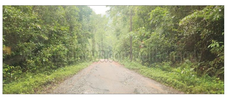 ಹದಗೆಟ್ಟ ಶಿಶಿಲ-ಅರಸಿನಮಕ್ಕಿ ರಸ್ತೆ: ಶ್ರಮದಾನದ ಮೂಲಕ ದುರಸ್ತಿಗೆ ಗ್ರಾಮಸ್ಥರ ನಿರ್ಧಾರ