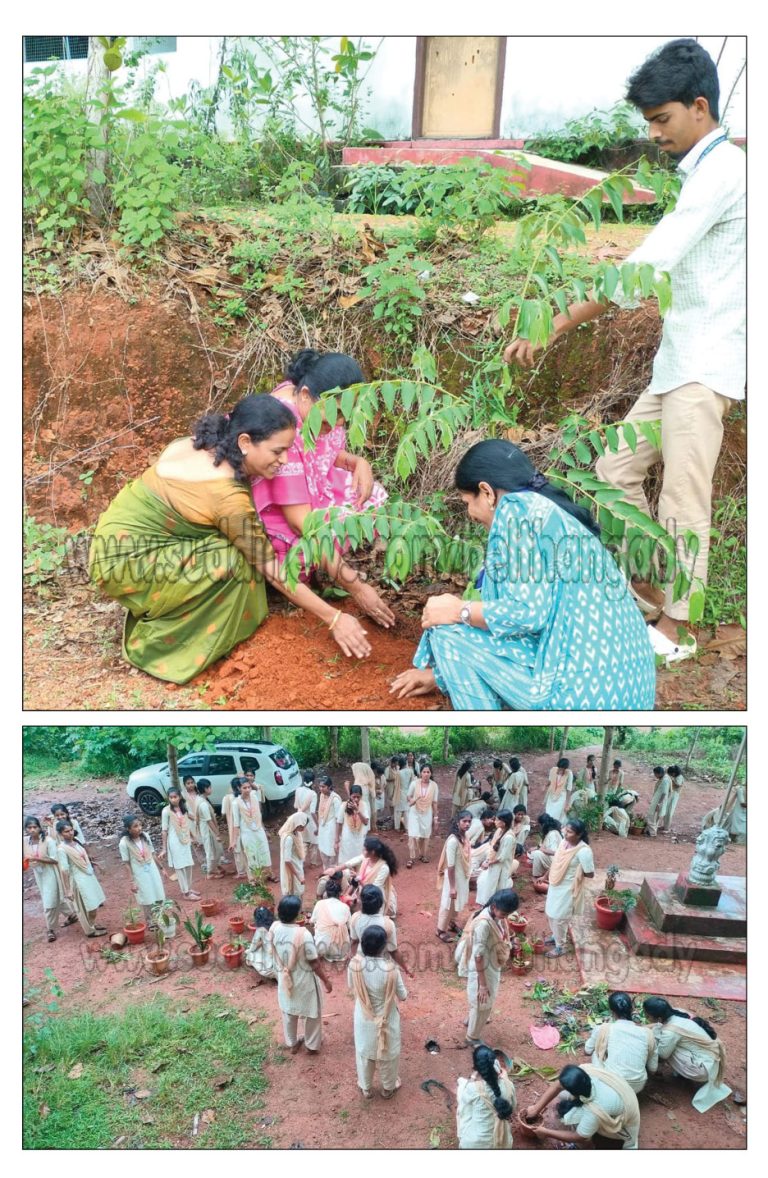 ಪುಂಜಾಲಕಟ್ಟೆ: ಸ.ಪ್ರ.ದ.ಕಾಲೇಜಿನಲ್ಲಿ ಎನ್.ಎಸ್.ಎಸ್ ನಿಂದ ವಿಶ್ವ ಪರಿಸರ ದಿನದ ಆಚರಣೆ