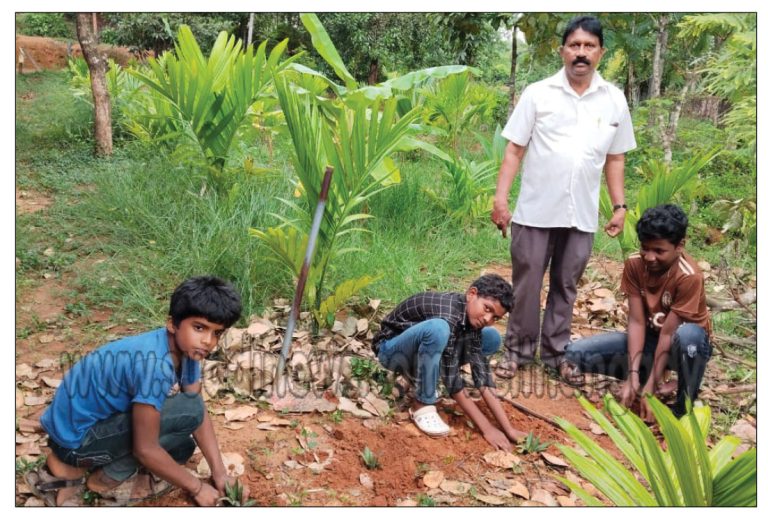 ಕುವೆಟ್ಟು: ಸ.ಉ.ಹಿ.ಪ್ರಾ.ಶಾಲೆಯಲ್ಲಿ ಪರಿಸರ ದಿನಾಚರಣೆ