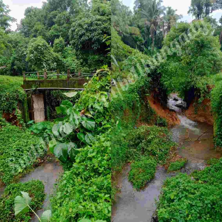 ನೆರಿಯ: ಬಯಲು ಅಪ್ಪಿಲ ಅರ್ಬಿಬೊಟ್ಟು ಎಂಬಲ್ಲಿ ಕುಸಿಯುವ ಹಂತದಲ್ಲಿರುವ ಕಾಲು ಸಂಕ