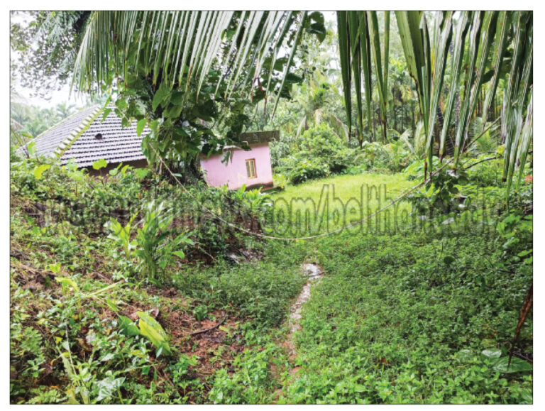 ಮುಂಡಾಜೆ: ಅಗರಿಯಲ್ಲಿ ಪ್ರಾಣಕ್ಕೆ ಕಂಟಕವಾಗಿರುವ ವಿದ್ಯುತ್ ತಂತಿ