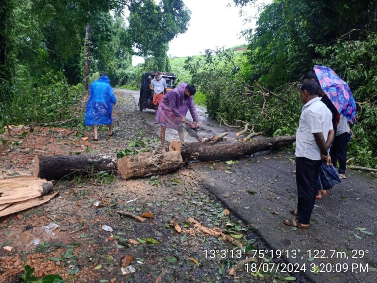 ನಾವೂರು  ಕೈಕಂಬ ರಸ್ತೆಗೆ ಮರ ಬಿದ್ದು ಅಡಚಣೆ:ತೆರವುಗೊಳಿಸಿ ಸಂಚಾರಕ್ಕೆ ನೆರವು