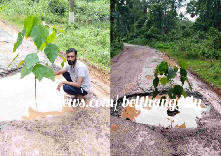 ಕಾಯರ್ತಡ್ಕ ಹೊಂಡ, ಗುಂಡಿಗಳಿಂದ  ಗಾಡಿಗೆ ತೊಂದರೆ- ಕೂಡಲೇ ಗಿಡ ನೆಟ್ಟು ಸವಾರರನ್ನು ಎಚ್ಚರಿಸಿದ ಪ್ರಯಾಣಿಕರು