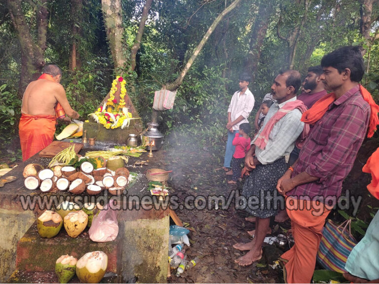 ಕೊಯ್ಯೂರು: ಮಾವಿನಕಟ್ಟೆ ಪರಂಗಡಿ ನಾಗಬನದಲ್ಲಿ ನಾಗರ ಪಂಚಮಿ