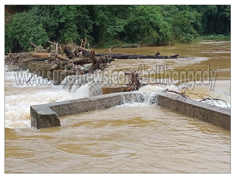 ಭಾರಿ ಮಳೆಯಿಂದಾಗಿ ಕಲ್ಮಂಜದ ಮಾಣಿಂಜೆ ಎಂಬಲ್ಲಿ ಅಣೆಕಟ್ಟುವಿನಲ್ಲಿ ಸೇರಿಕೊಂಡ ಮರದ ಕೊಂಬೆಗಳು