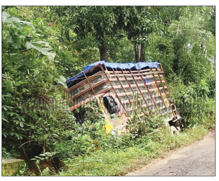 ಪಟ್ರಮೆ: ಅನಾರು ಶಾಲೆ ಬಳಿ ಚರಂಡಿಗೆ ಬಿದ್ದ ಕೋಳಿ ಸಾಗಾಟದ ವಾಹನ