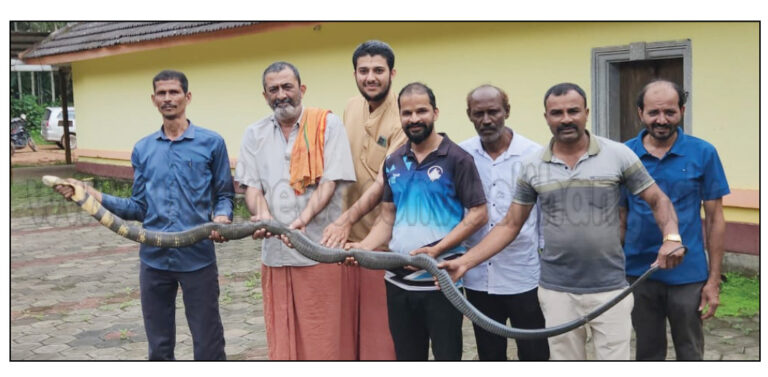 ಇಳಂತಿಲ: ಕಾಳಿಂಗ ಸರ್ಪ ಪತ್ತೆ