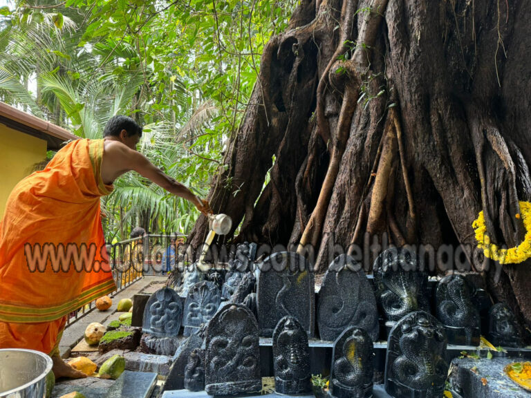 ಬಳ್ಳಮಂಜದಲ್ಲಿ ನಾಗರ ಪಂಚಮಿ