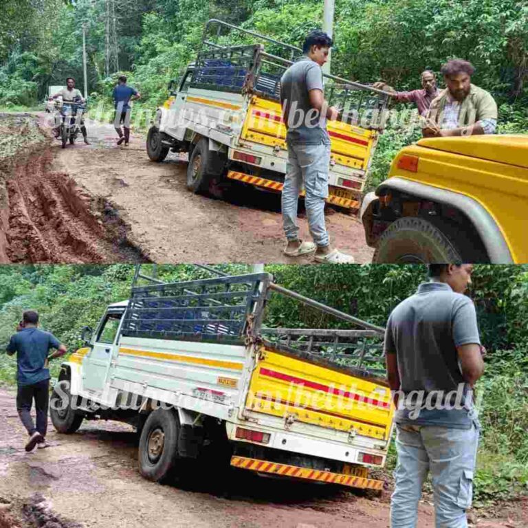 ಕಾಯರ್ತಡ್ಕ ಹೊಂಡ ಗುಂಡಿಗಳಿಂದ ಕೂಡಿದ ರಸ್ತೆ- ಹೊಂಡಕ್ಕೆ ಬಿದ್ದ  ಪಿಕಪ್- ಅಪಾಯದಲ್ಲಿ ಮತ್ತಷ್ಟು ವಾಹನ