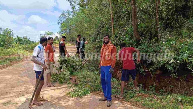 ಪಾಲೇದು: ಯುವಕರಿಂದ ರಸ್ತೆ ಬದಿಯ ಗಿಡ ಗಂಟಿಗಳ ತೆರವು ಕಾರ್ಯಾಚರಣೆ