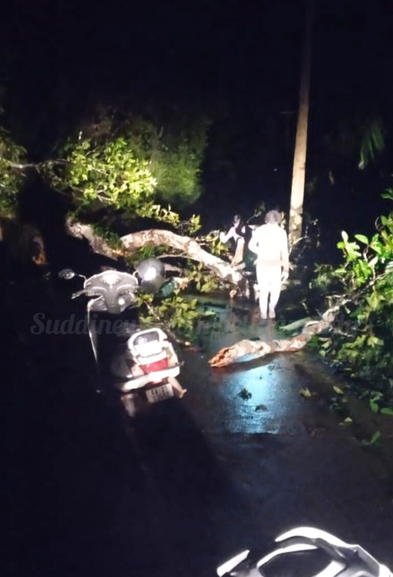 ಪಟ್ರಮೆ: ಶಾಂತಿಕಾಯ ಬಳಿ ಮರಗಳು ರಸ್ತೆಗೆ ಬಿದ್ದು ರಸ್ತೆ ಬಂದ್