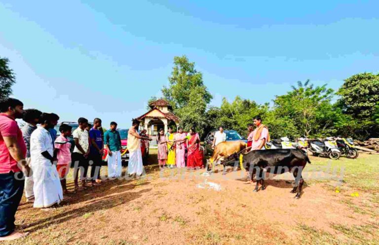 ಕಲ್ಮಂಜ: ಟೀಮ್ ದೇವರಗುಡ್ಡೆ ವತಿಯಿಂದ ಗೋಪೂಜೆ ಮತ್ತು ವಾಹನ ಪೂಜೆ