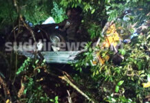 ನಾಳ ಸಮೀಪ ರಸ್ತೆ ಪಕ್ಕದ ಗದ್ದೆಗೆ ಬಿದ್ದ ಪಿಕಪ್:ಇಬ್ಬರು ಬಚಾವ್:10ಲಕ್ಷ ಮೌಲ್ಯದ ಅಡಿಕೆ ಇದ್ದ ಪಿಕಪ್