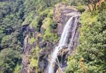 ನ.20ರಿಂದ ಬಂಡಾಜೆ ಜಲಪಾತ ವೀಕ್ಷಣೆಗೆ ಅವಕಾಶ