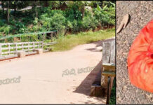 ಮಚ್ಚಿನ: ತಾರೆಮಾರು ಸೇತುವೆಯ ಬಳಿ ವಾಮಾಚಾರಕ್ಕೆ ಬಳಸಿದ ವಸ್ತುಗಳನ್ನು ಎಸೆಯುವ ಬಗ್ಗೆ ಸ್ಥಳೀಯರ ಅಕ್ರೋಶ