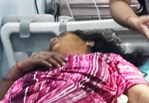 ಗರ್ಡಾಡಿ: ಕಣಜದ ಹುಳು ದಾಳಿ