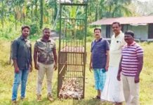 ಮೂಡುಕೋಡಿ: ಚಿರತೆ ಸೆರೆಹಿಡಿಯಲು ಬೋನ್ ಅಳವಡಿಕೆ