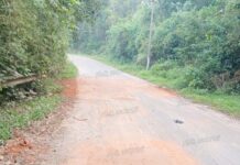 ಕಡಿರುದ್ಯಾವರ: ರಸ್ತೆ ದುರಸ್ಥಿ