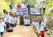 ವಾಣಿ ಕಾಲೇಜಿನ ಎನ್.ಎಸ್.ಎಸ್ ವಿದ್ಯಾರ್ಥಿಗಳಿಂದ ನೇಜಿ ನಾಟಿ