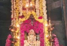 ಬೆಳಾಲು: ಕೊಲ್ಪಾಡಿ ದೇವಸ್ಥಾನದಲ್ಲಿ ಚಂಪಾ ಷಷ್ಠಿ ವಿಶೇಷ ಪೂಜೆ