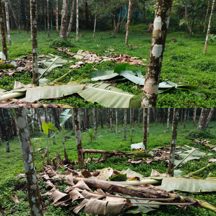 InShot_20251107_174444974