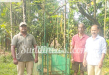 ವೇಣೂರು: ಚಿರತೆ ಸೆರೆ ಹಿಡಿಯಲು ಬೋನ್ ಅಳವಡಿಕೆ