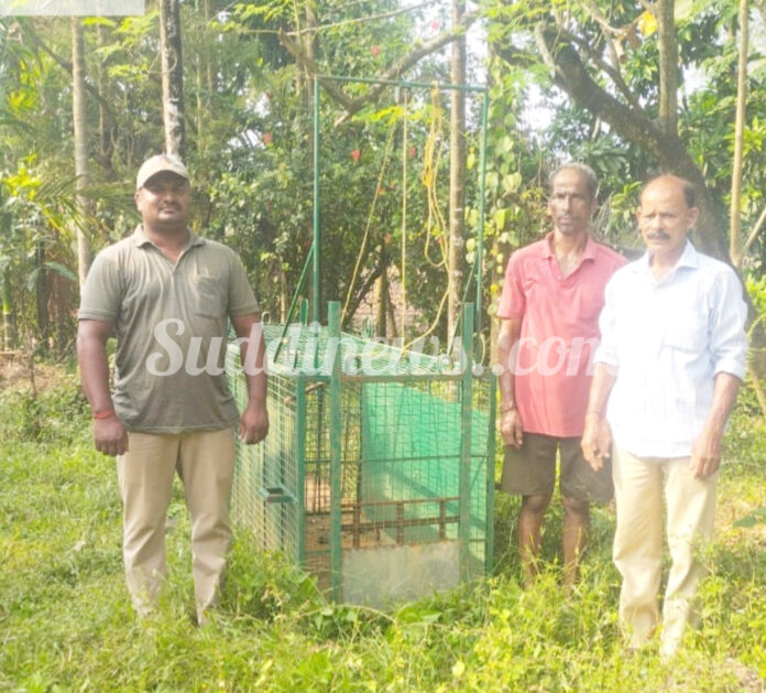 InShot_20251115_172403862