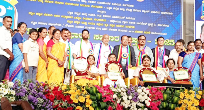 InShot_20251117_173455388