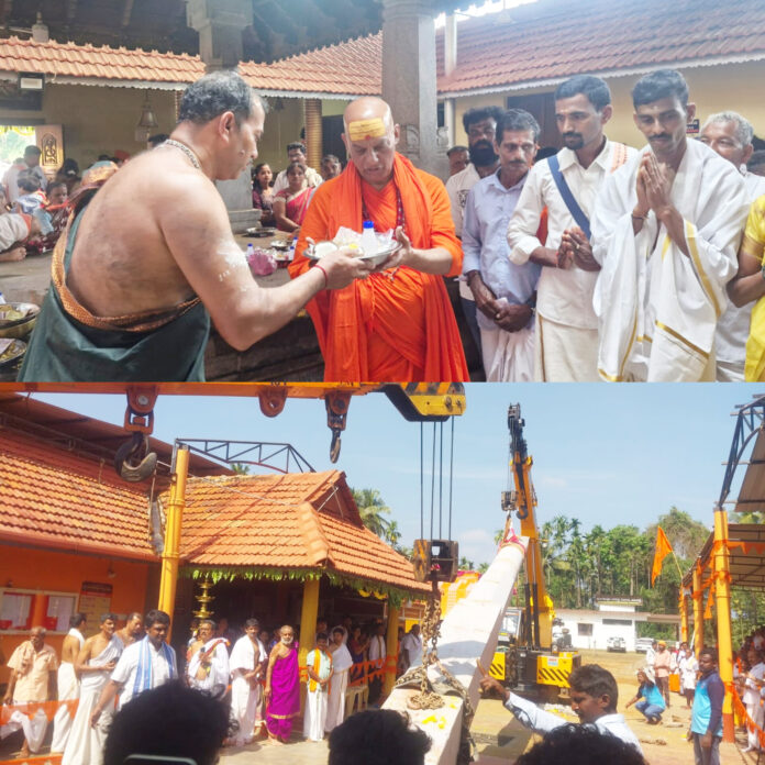 InShot_20251205_164215860