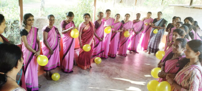 InShot_20251206_162606150