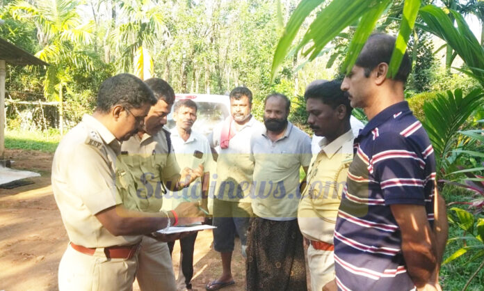 InShot_20251211_192433928