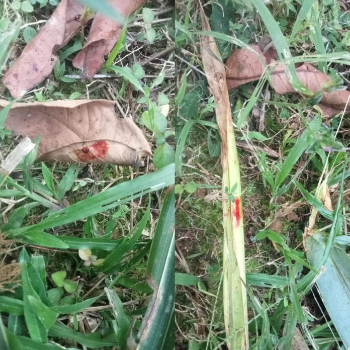 InShot_20251216_095527803